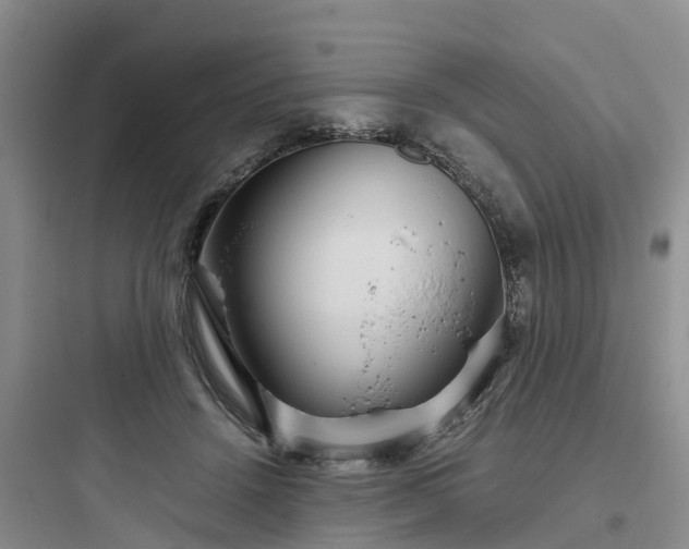 X0000097920456200803211531