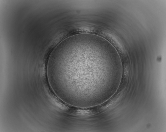 X0000097920457200803211531