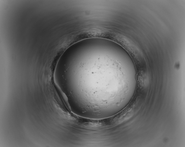 X0000097920458200803211531