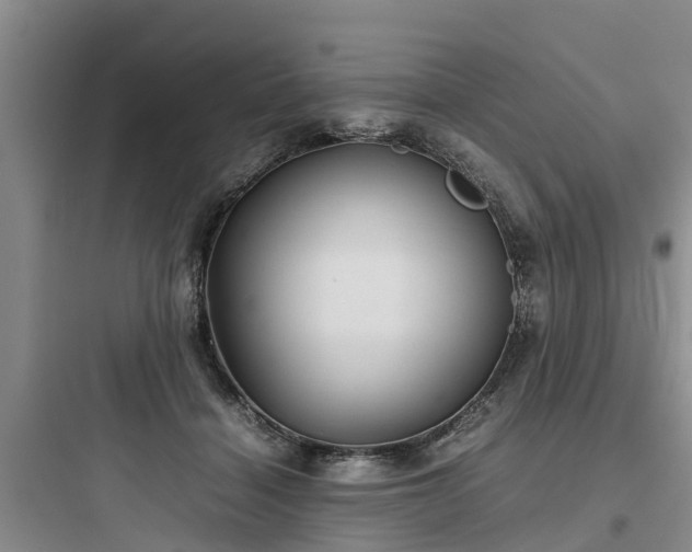 X0000097920460200803211531