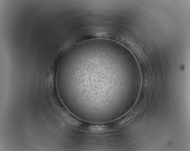X0000097920461200803211531