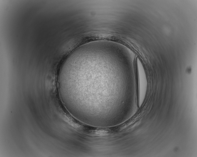 X0000097920462200803211531