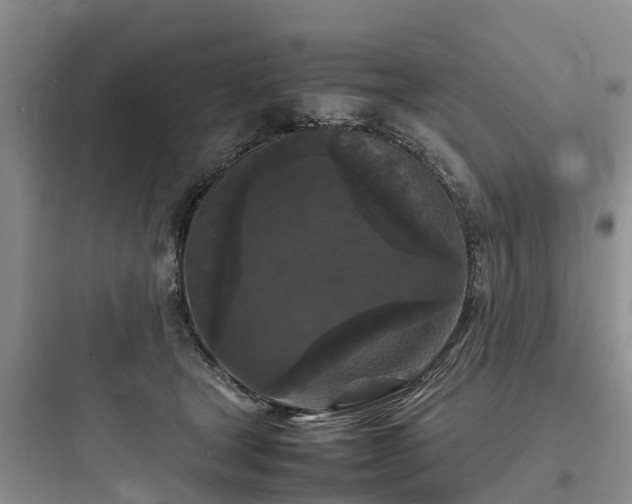 X0000097920465200803211531