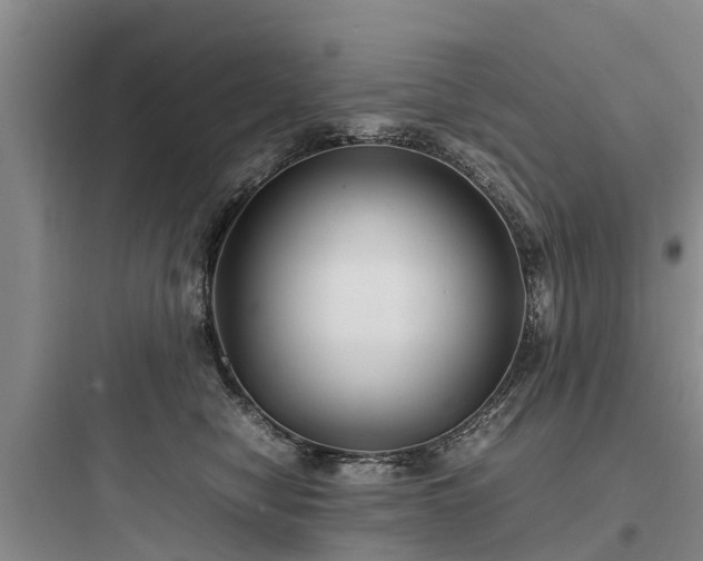 X0000097920470200803211531