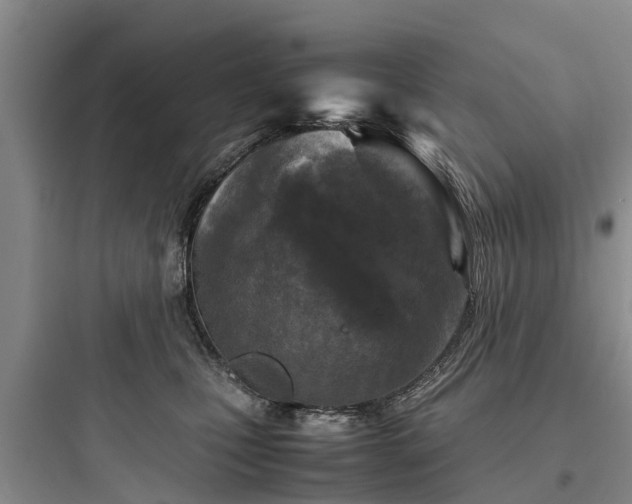 X0000097920471200803211531