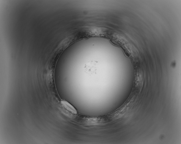 X0000097920473200803211531