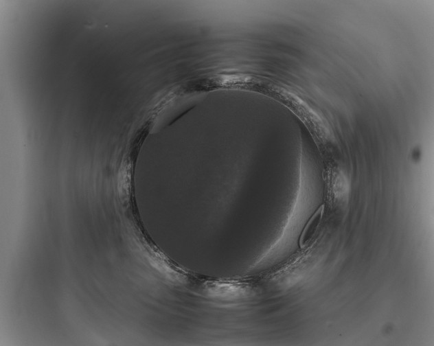 X0000097920475200803211532