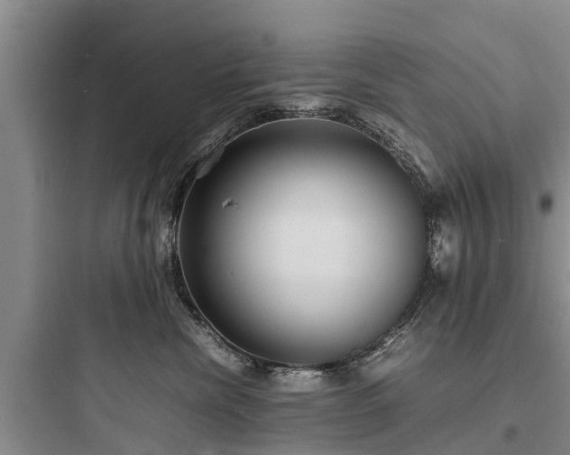 X0000097920476200803211532