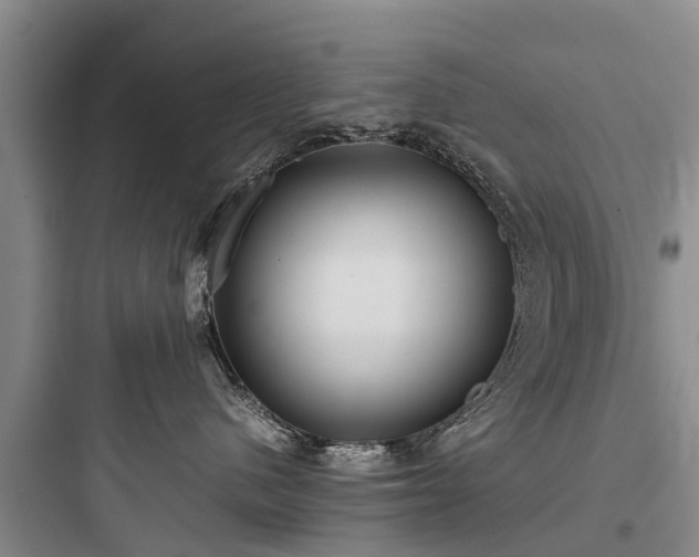 X0000097920480200803211532