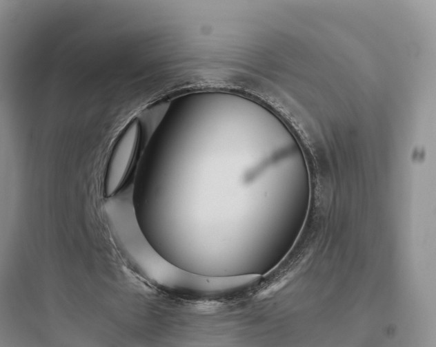 X0000097920481200803211531