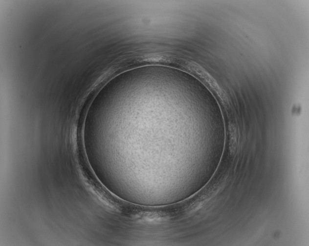 X0000097920482200803211531