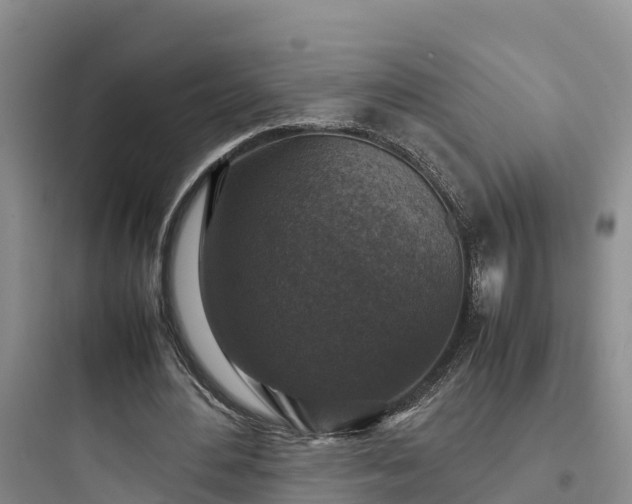 X0000097920484200803211531