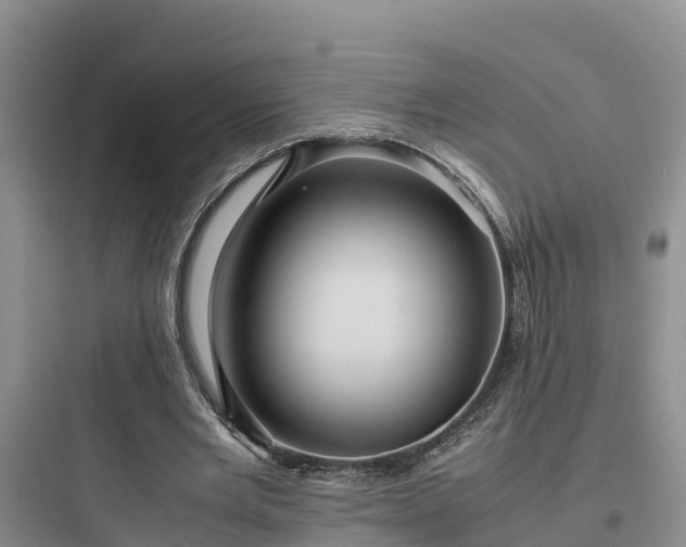 X0000097920485200803211531