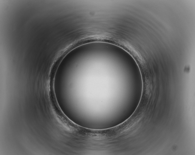 X0000097920486200803211531