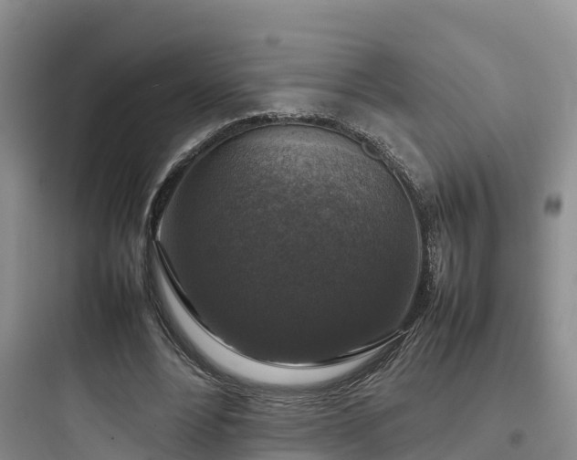 X0000097920488200803211530