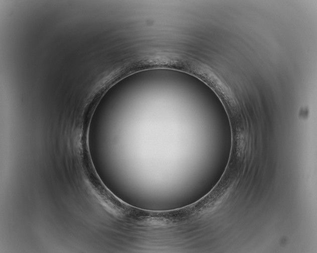 X0000097920490200803211530