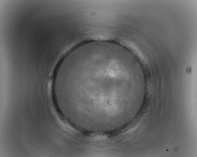 X0000097920491200803211530