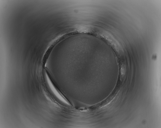 X0000097920492200803211530