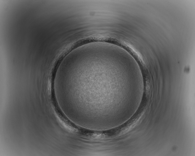 X0000097920493200803211530