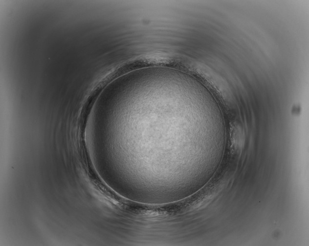 X0000097920494200803211530