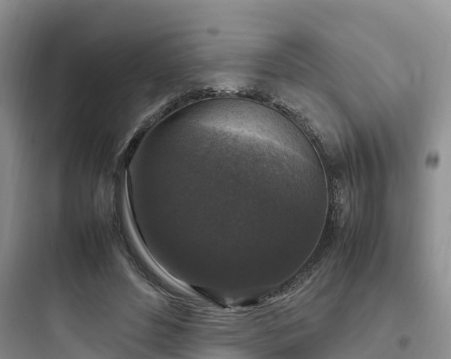 X0000097920496200803211530