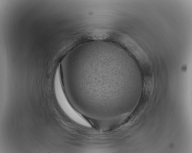 X0000097920501200803211530