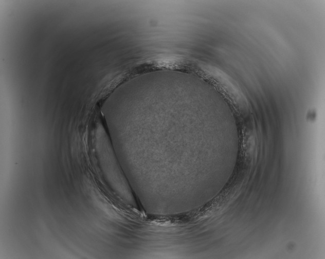 X0000097920502200803211530