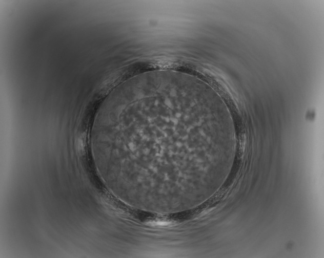 X0000097920503200803211530