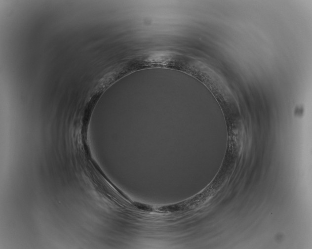X0000097920504200803211530