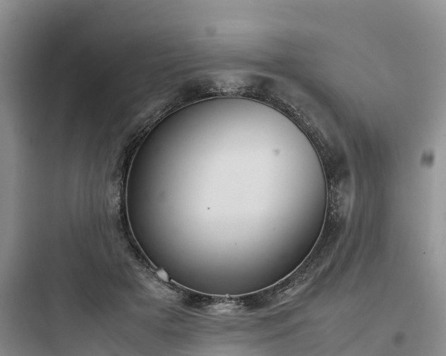 X0000097920505200803211530