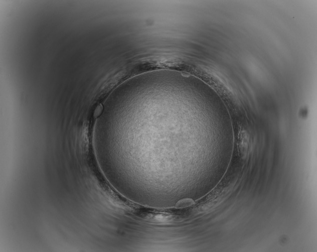X0000097920506200803211530