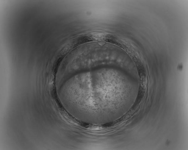X0000097920507200803211530