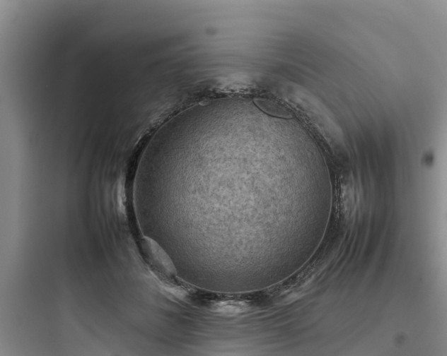 X0000097920508200803211530