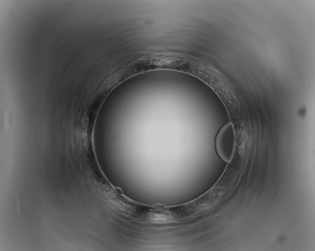 X0000097920510200803211530