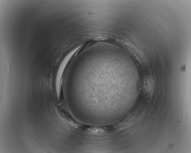 X0000097920512200803211530