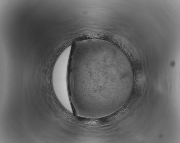 X0000097920513200803211530