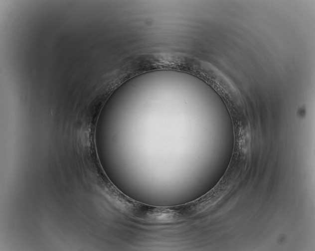 X0000097920514200803211530