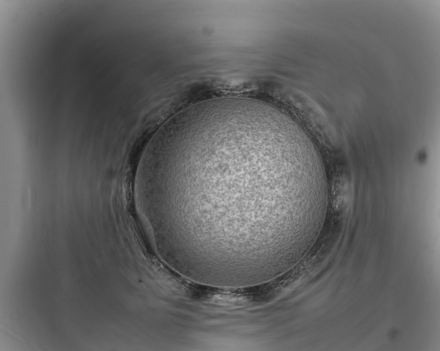 X0000097920515200803211530