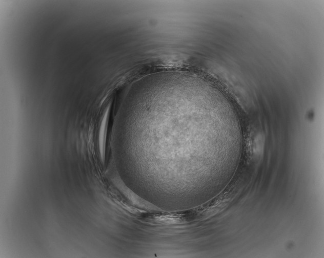 X0000097920516200803211530