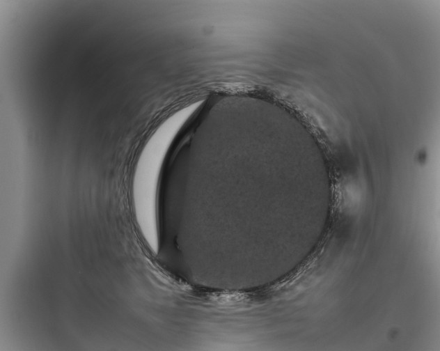 X0000097920517200803211530
