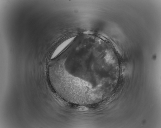 X0000097920519200803211530