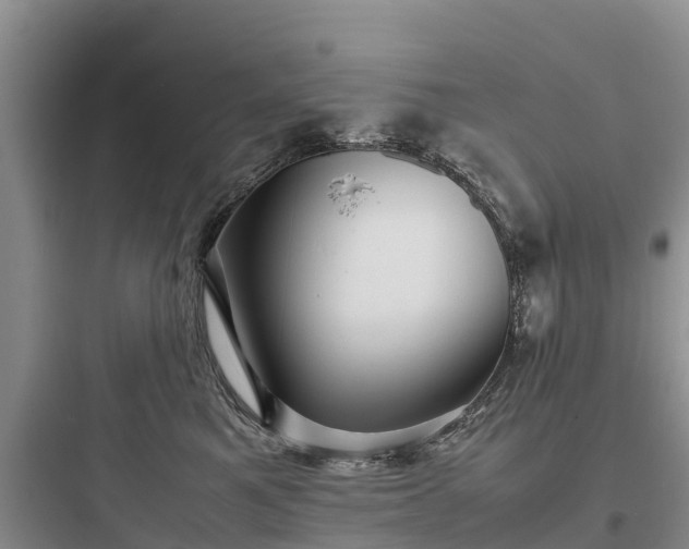 X0000097920521200803211530