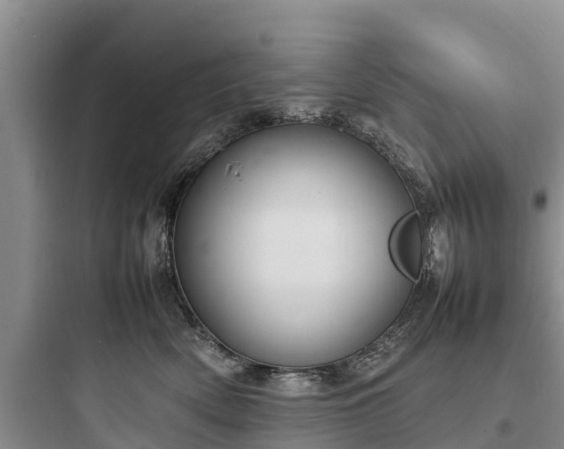 X0000097920522200803211530
