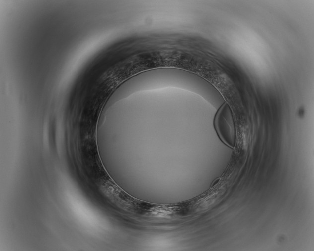 X0000097920526200803211530