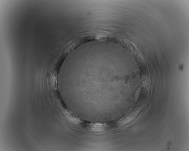X0000097920527200803211530