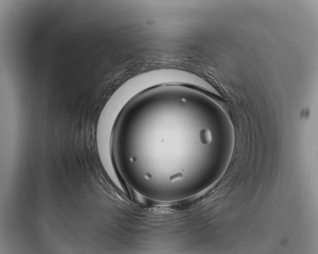 X0000097920528200803211530