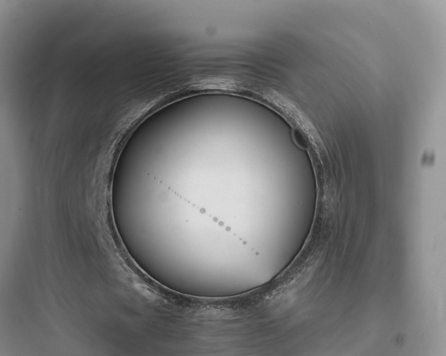 X0000097920529200803211529