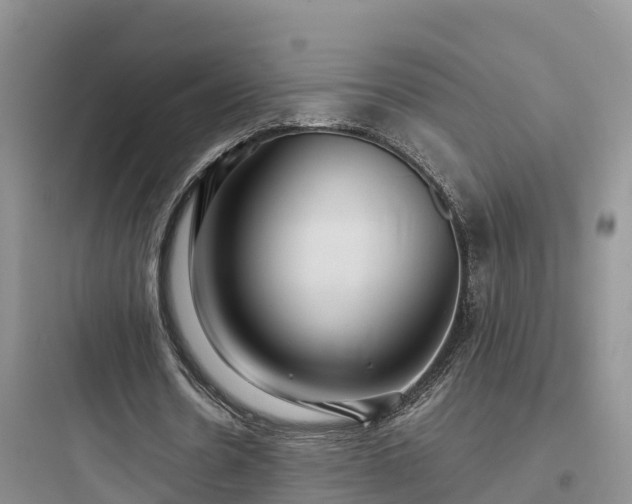 X0000097920530200803211529