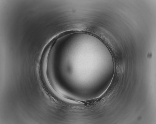 X0000097920532200803211529