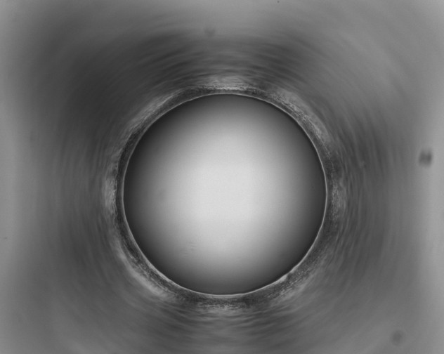 X0000097920533200803211529